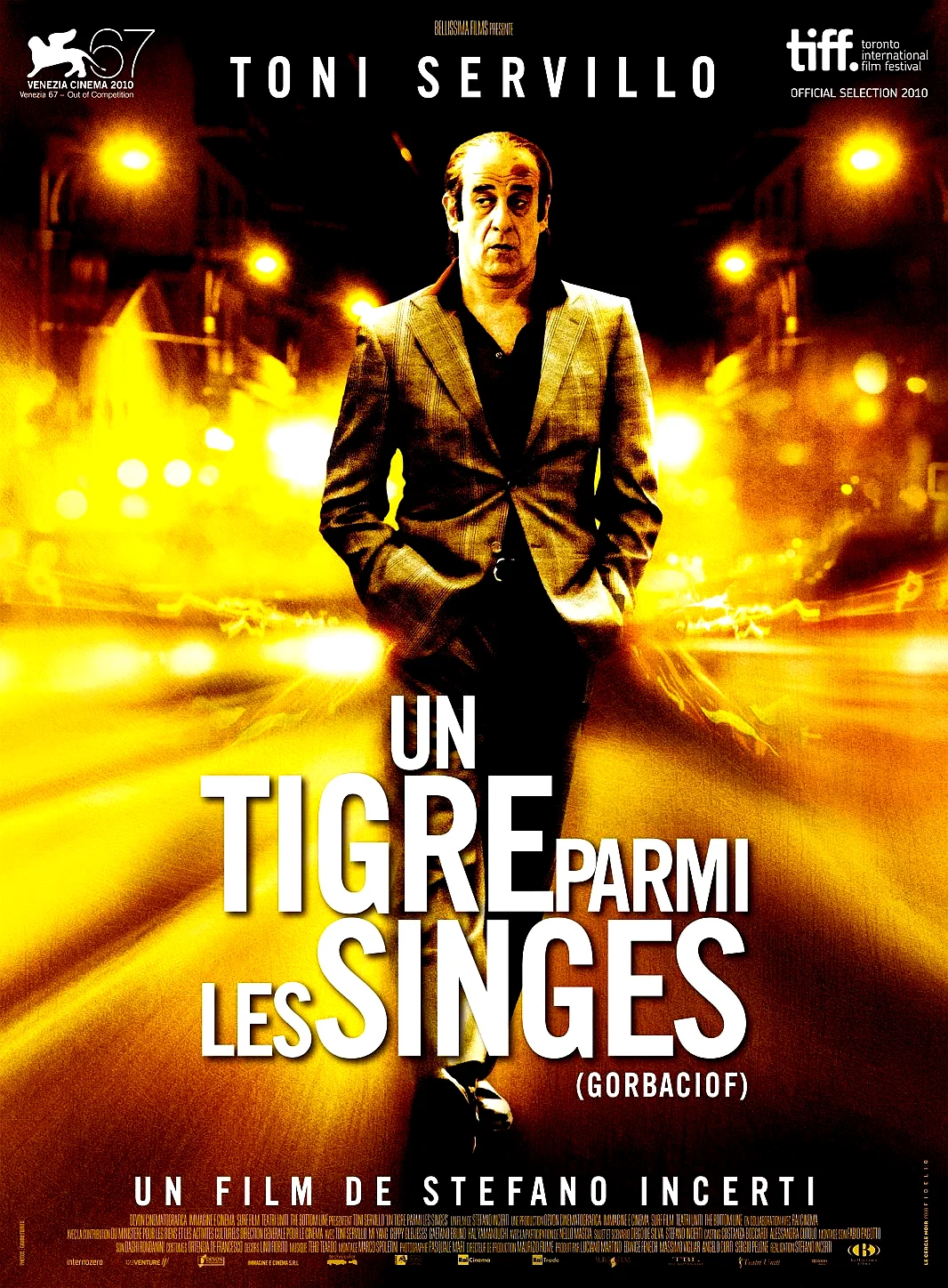 Affiche du film : Un Tigre parmi les singes