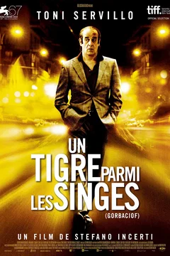 Affiche du film Un Tigre parmi les singes