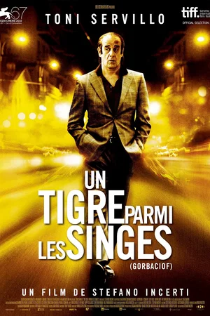 Affiche du film : Un Tigre parmi les singes
