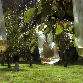Photo du film : Le Sens de l'âge