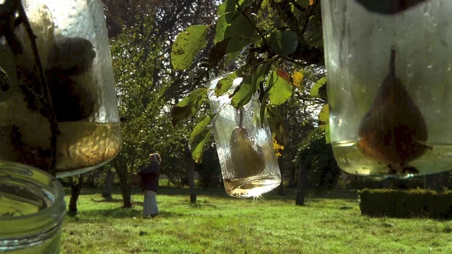 Photo 3 du film : Le Sens de l'âge