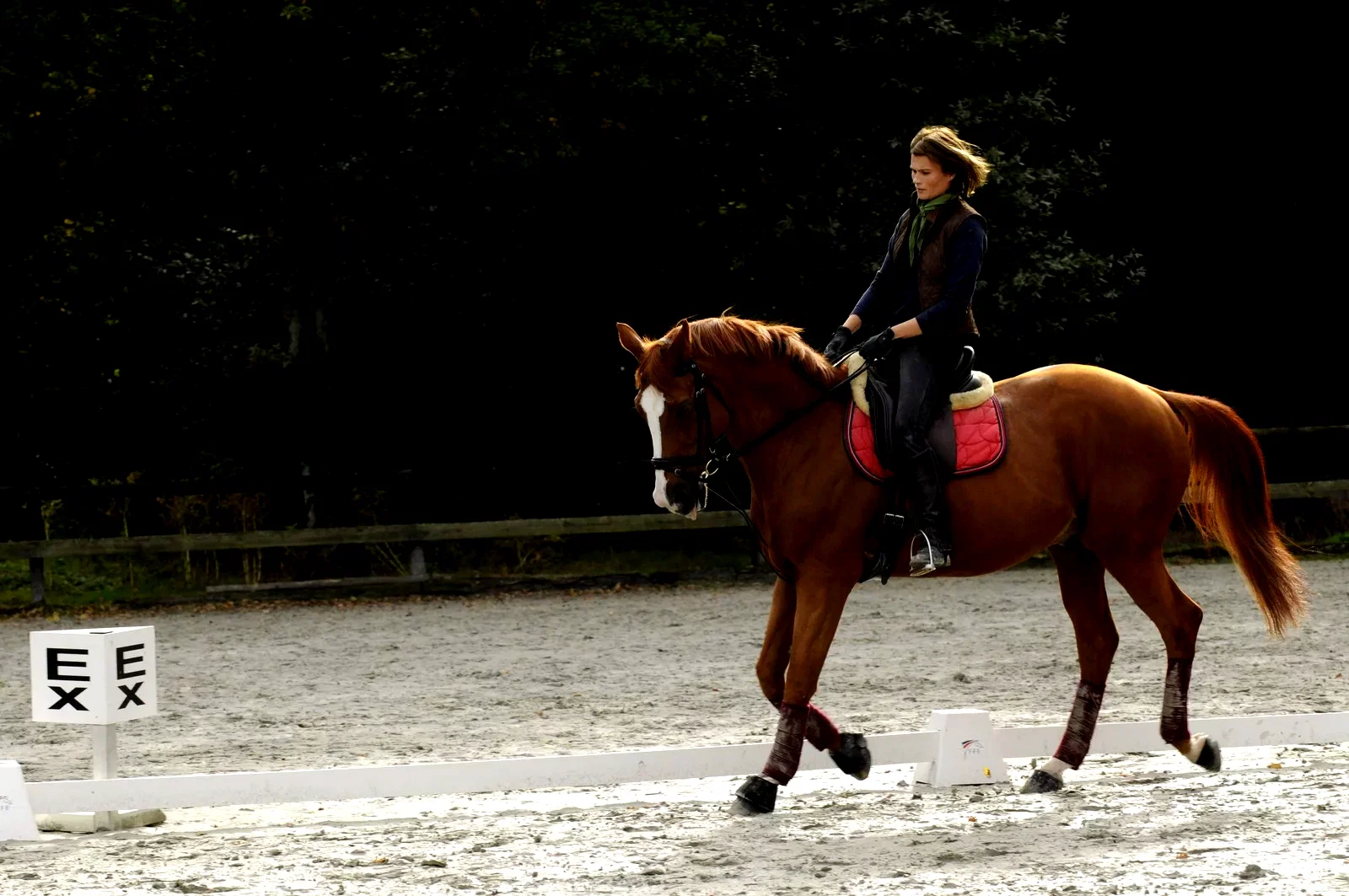 Photo 3 du film : Sport de filles