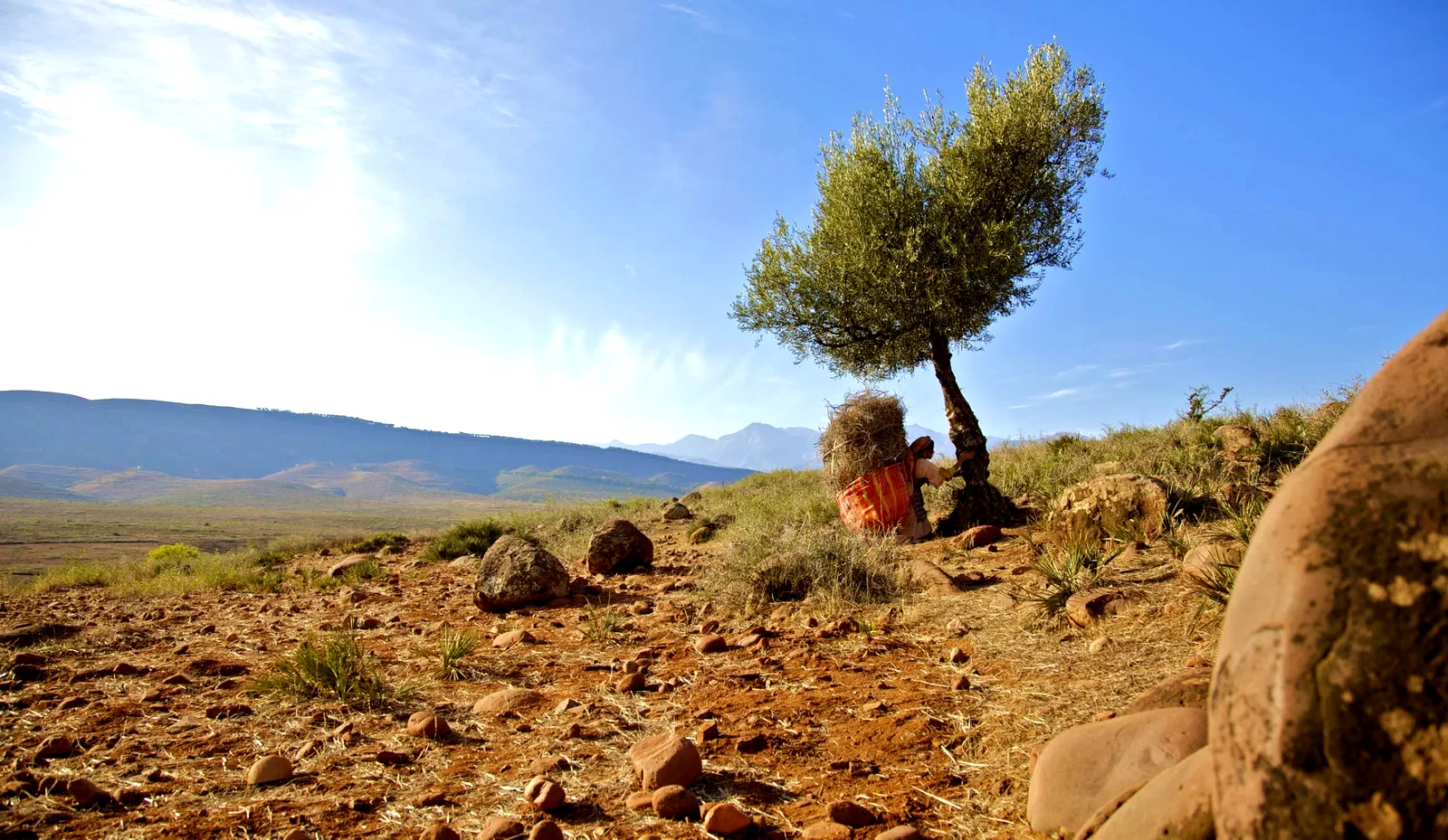 Photo 9 du film : La Source des Femmes