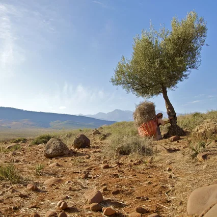 Miniature photo du film : La Source des Femmes