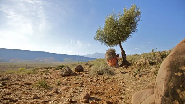 Photo du film : La Source des Femmes