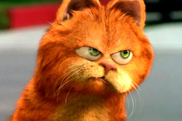 Photo 1 du film : Garfield, le film