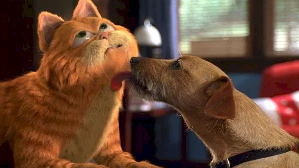 Photo du film : Garfield, le film