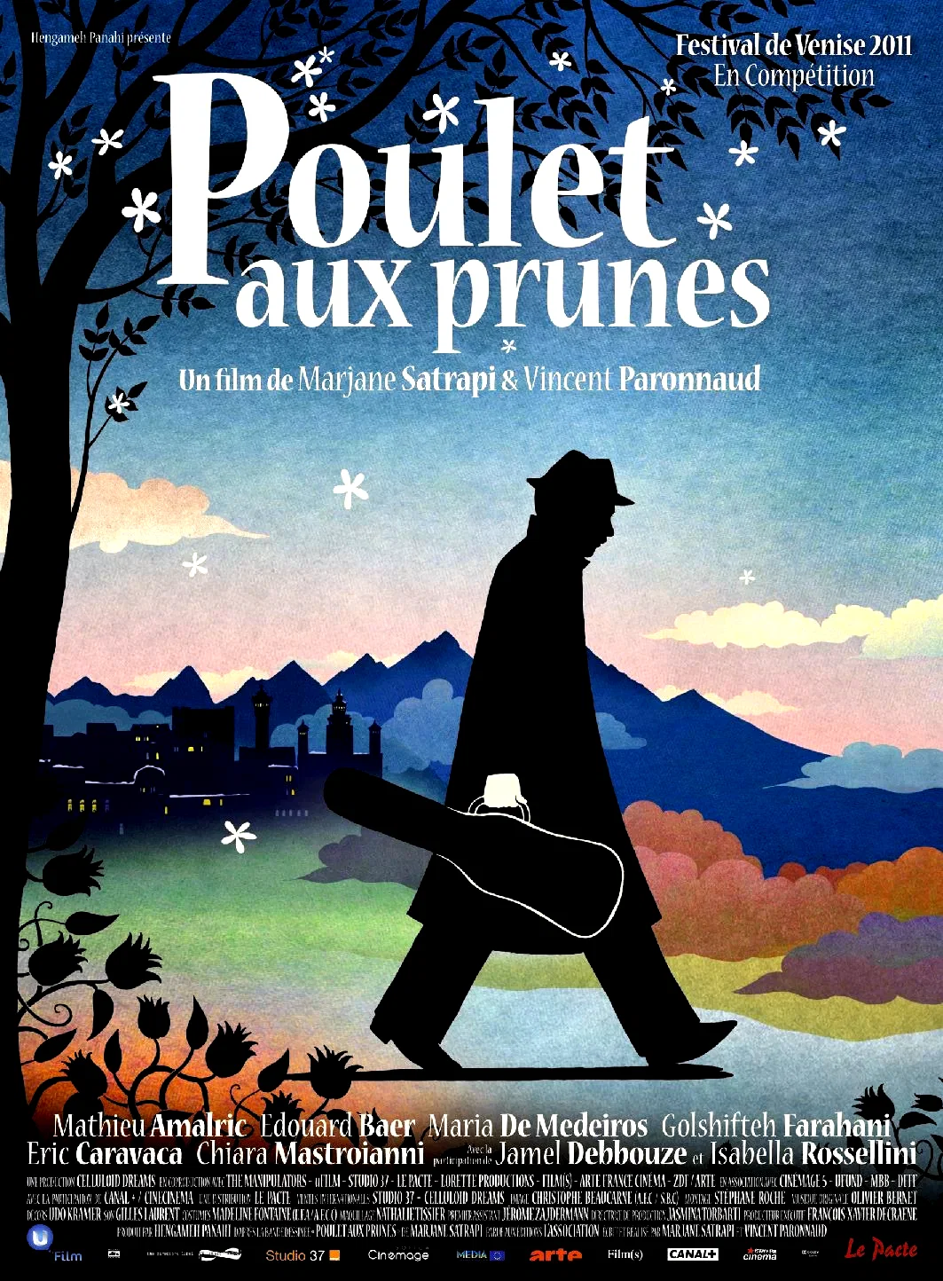 Affiche du film : Poulet aux prunes