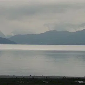 Photo du film : De bon matin
