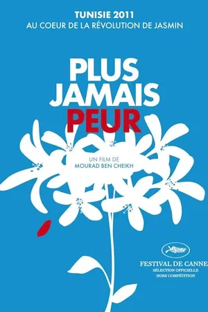Affiche du film : Plus jamais peur 