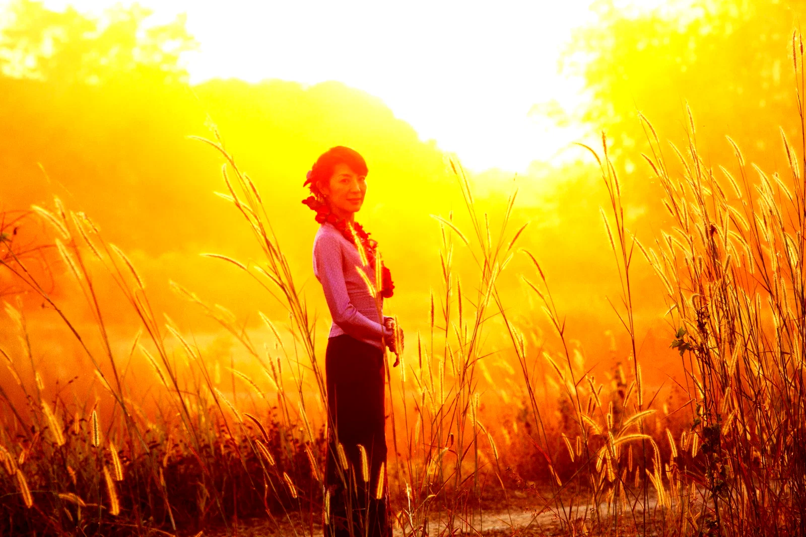 Photo 3 du film : The Lady
