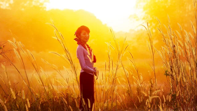 Photo du film : The Lady