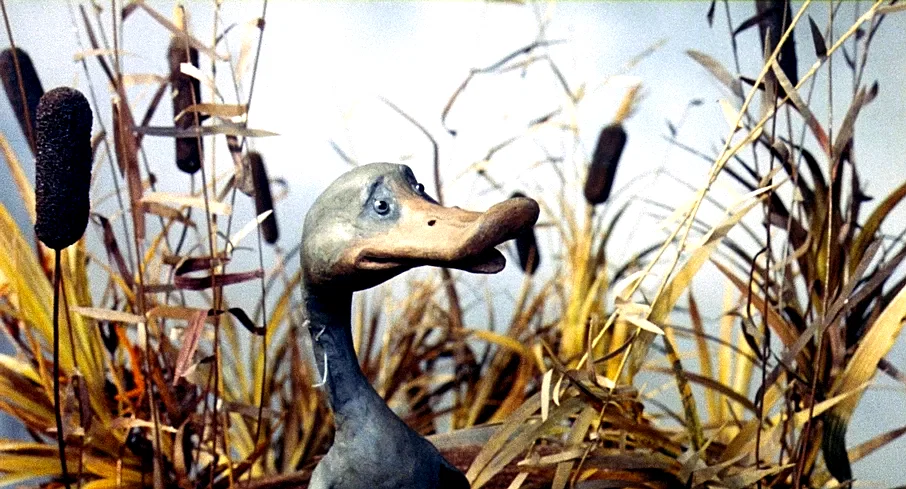 Photo 11 du film : Le Vilain petit canard