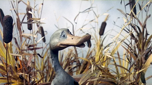 Photo du film : Le Vilain petit canard