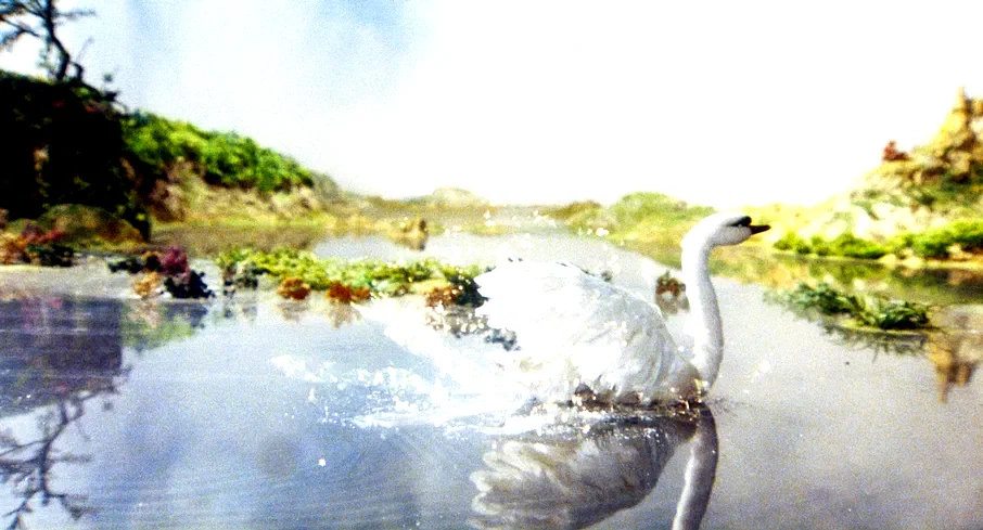 Photo 3 du film : Le Vilain petit canard