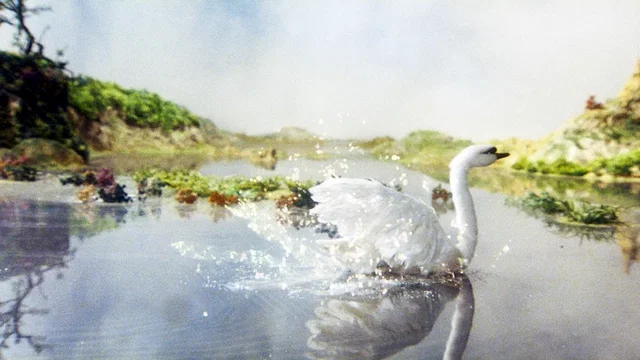 Photo du film : Le Vilain petit canard