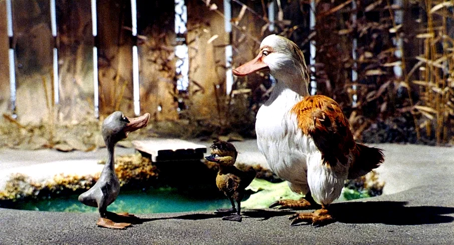 Photo 5 du film : Le Vilain petit canard