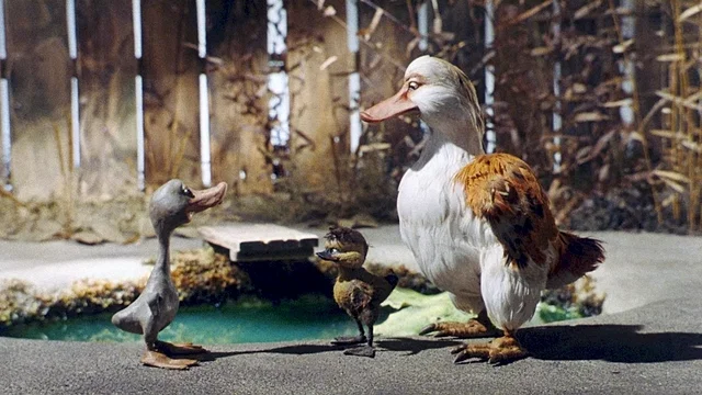 Photo du film : Le Vilain petit canard
