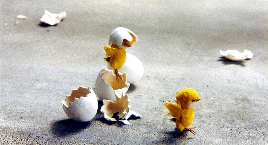 Photo 7 du film : Le Vilain petit canard