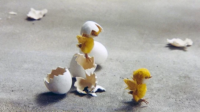 Photo du film : Le Vilain petit canard