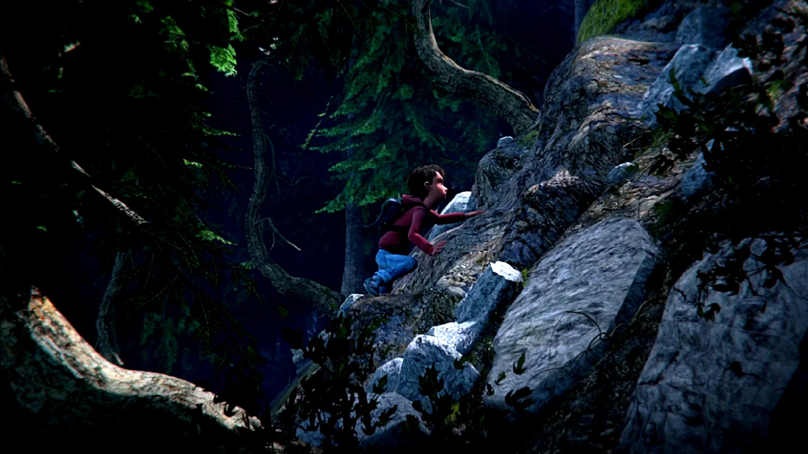 Photo du film : L'Ours Montagne