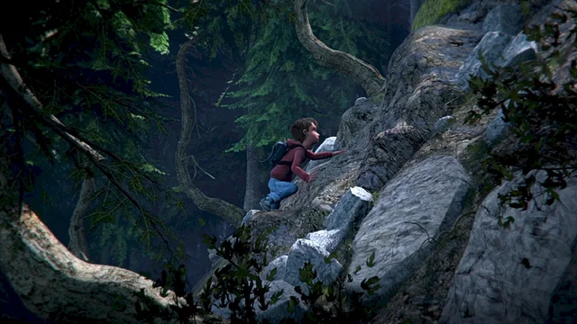 Photo du film : L'Ours Montagne