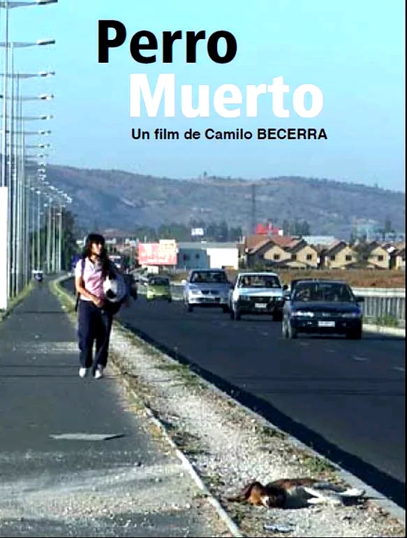 Affiche du film : Perro muerto 