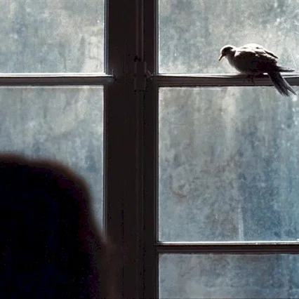 Miniature photo du film : L'oiseau