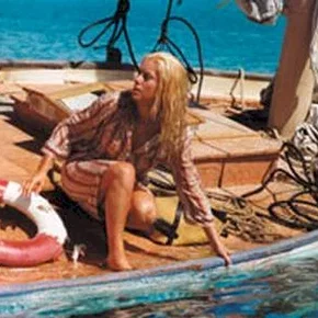Photo du film : Le sauvage