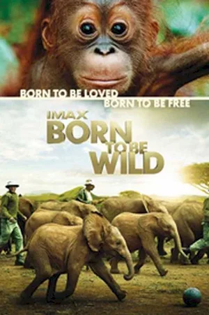 Affiche du film : Born to be wild (3D)