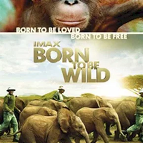 Photo du film : Born to be wild (3D)