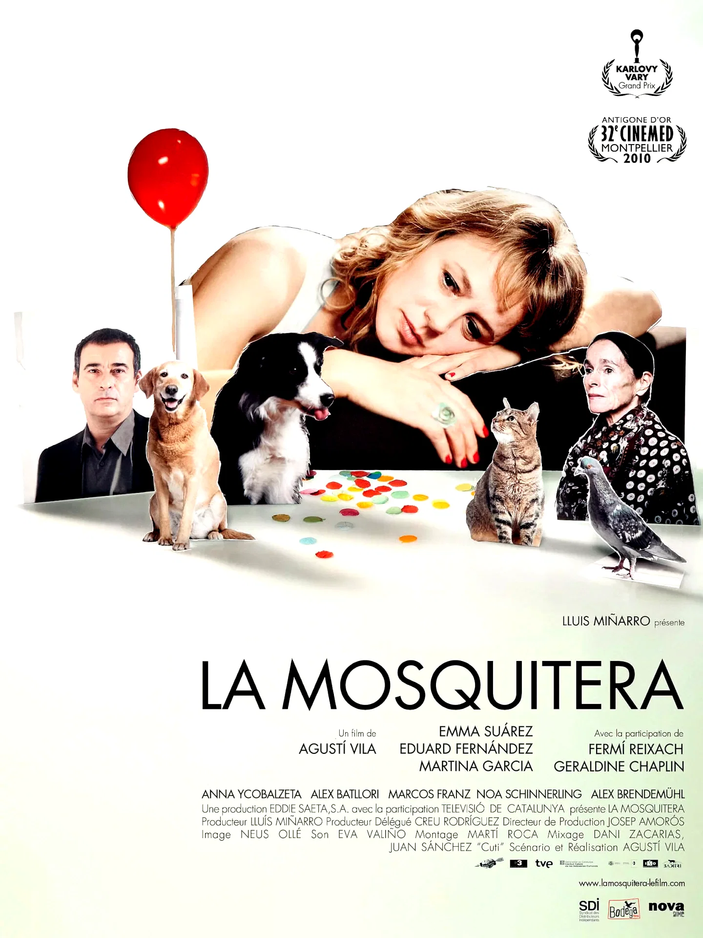 Affiche du film : La Mosquitera 