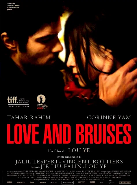 Affiche du film : Love and Bruises