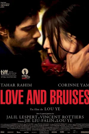 Affiche du film : Love and Bruises