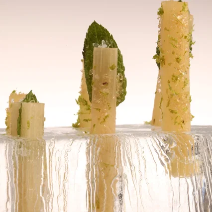 Miniature photo du film : El Bulli - Cooking in progress