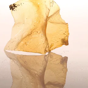 Photo du film : El Bulli - Cooking in progress