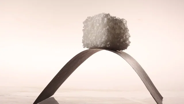 Photo 6 du film : El Bulli - Cooking in progress