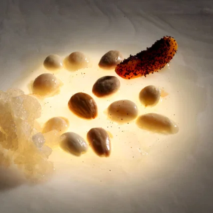 Miniature photo du film : El Bulli - Cooking in progress