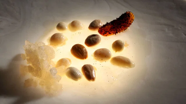 Photo 7 du film : El Bulli - Cooking in progress