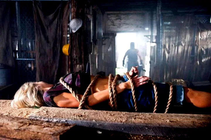 Photo du film : Tucker and Dale fightent le Mal 
