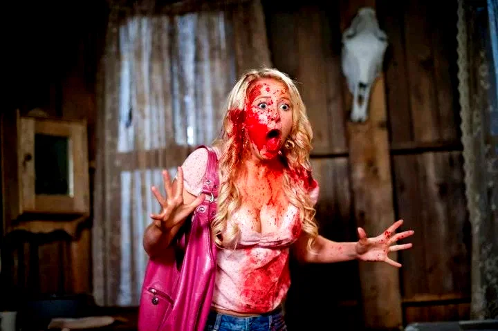 Photo du film : Tucker and Dale fightent le Mal 