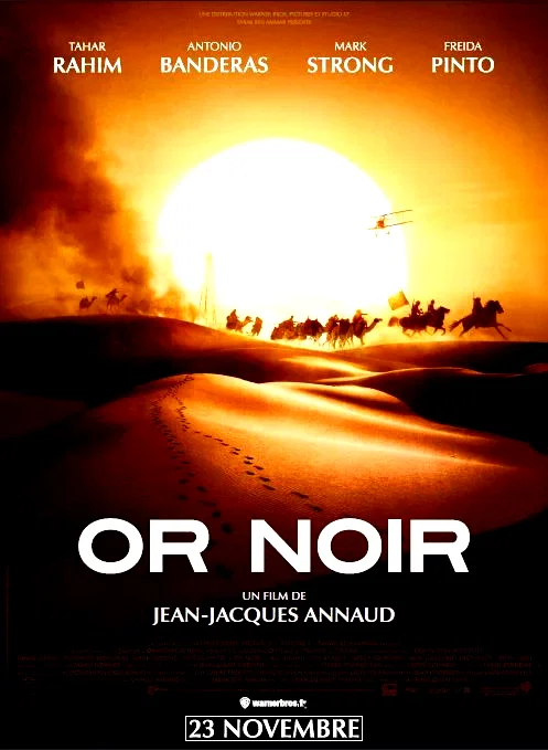Affiche du film : Or Noir