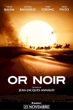 Affiche du film = Or Noir