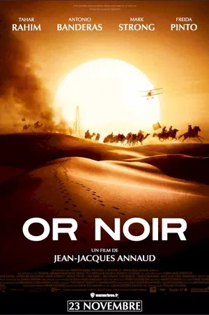 Affiche du film : Or Noir