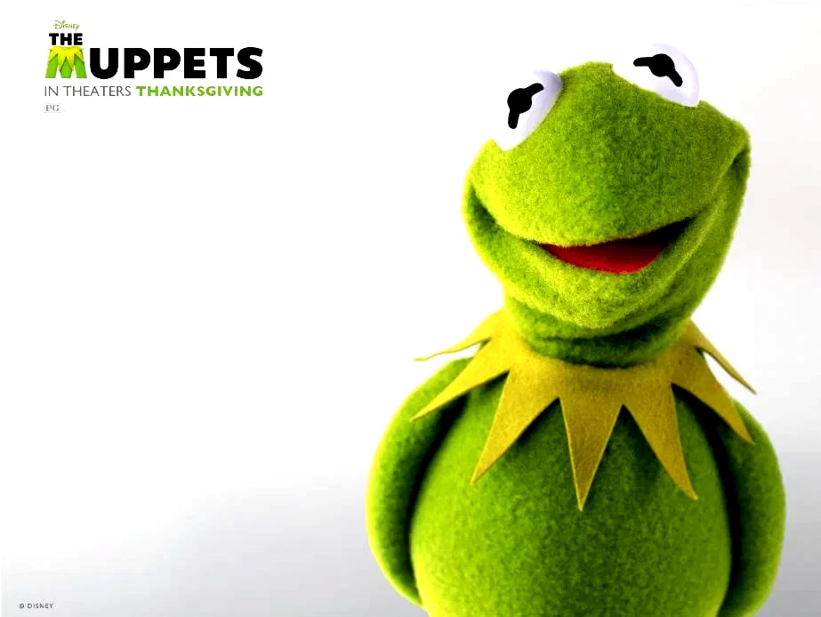 Photo 15 du film : Les Muppets, le retour
