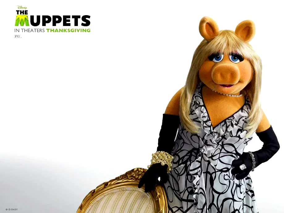 Photo 5 du film : Les Muppets, le retour