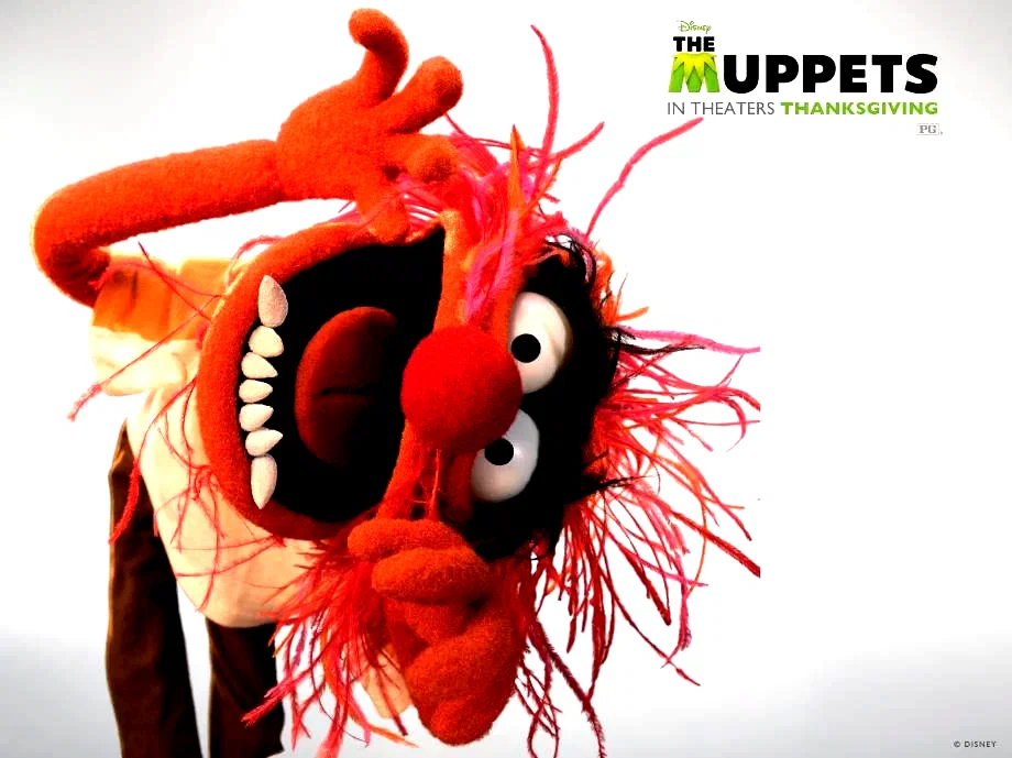 Photo 8 du film : Les Muppets, le retour