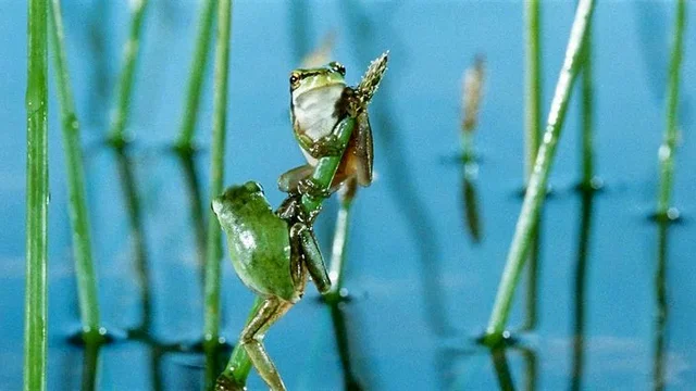 Photo du film : La Clé des Champs