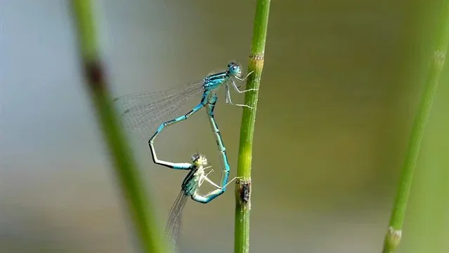 Photo du film : La Clé des Champs