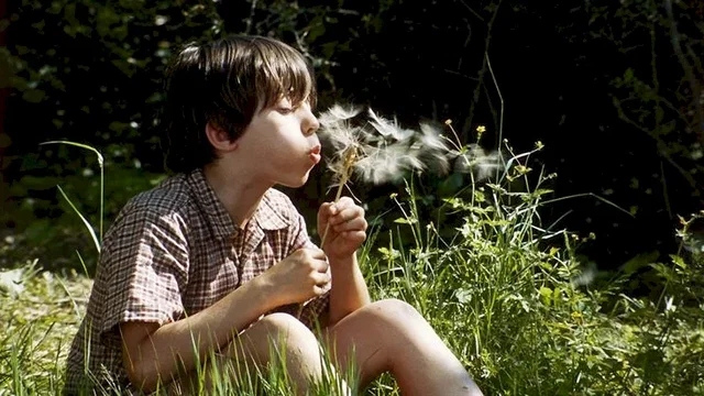 Photo du film : La Clé des Champs